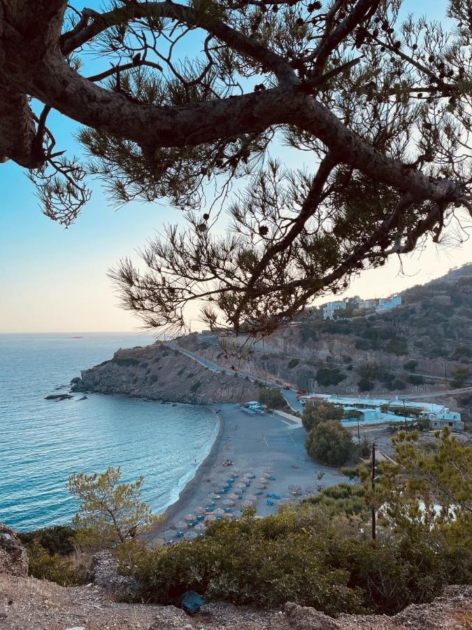Blue Horizon * Achlia